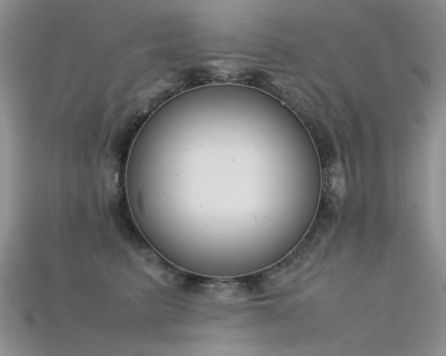 X0000115720615200911121452