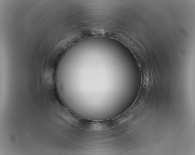 X0000115720616200911121452
