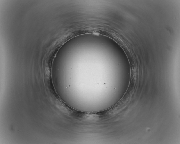 X0000115720617200911121452
