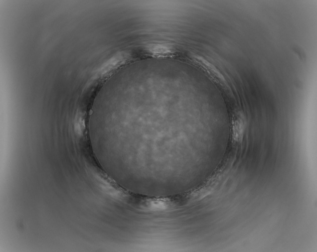 X0000115720618200911121452