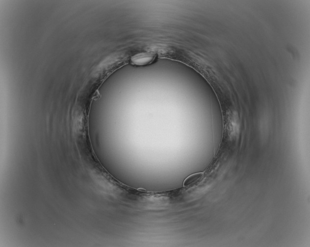 X0000115720619200911121452
