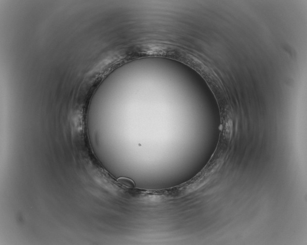 X0000115720620200911121452