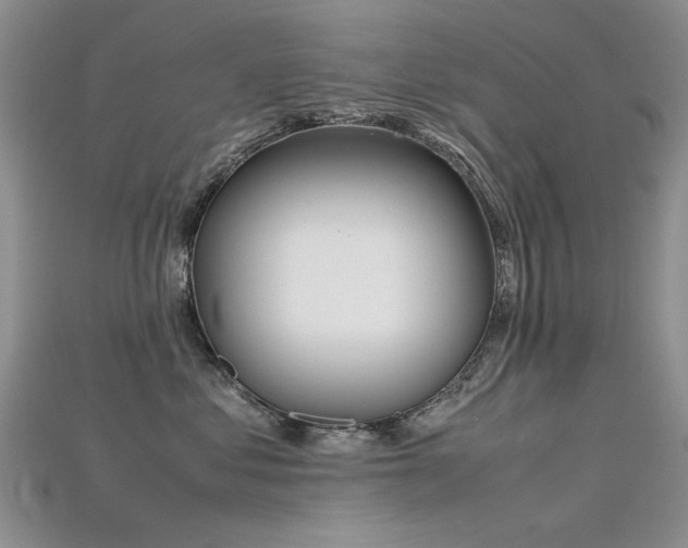X0000115720621200911121452