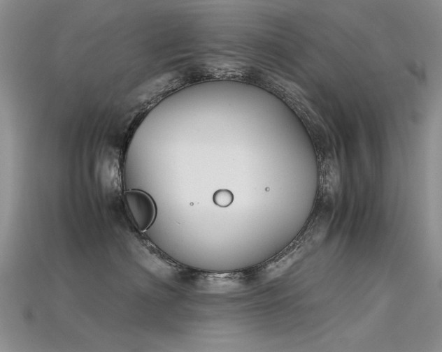 X0000115720622200911121452