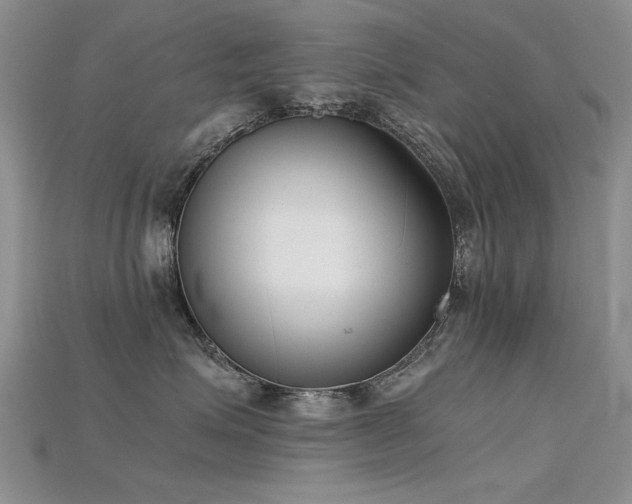 X0000115720623200911121452