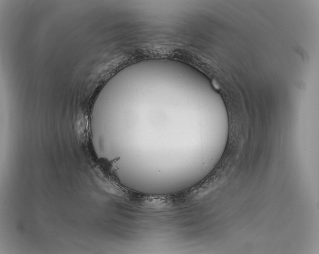X0000115720624200911121452