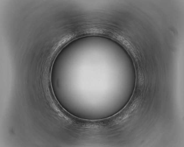 X0000115720625200911121451