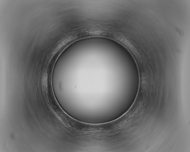 X0000115720626200911121451