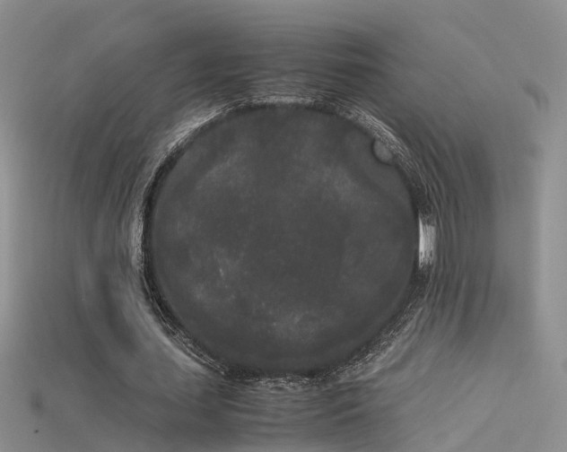 X0000115720627200911121451