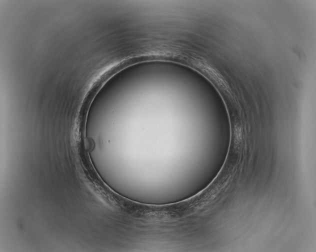 X0000115720628200911121451