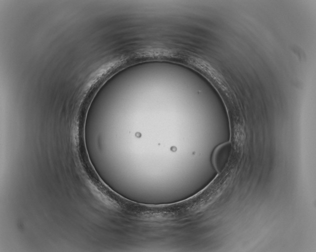 X0000115720629200911121451