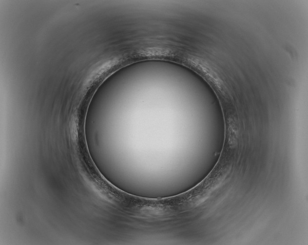 X0000115720631200911121451