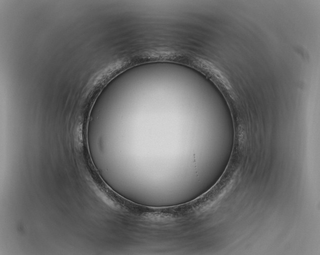 X0000115720633200911121451