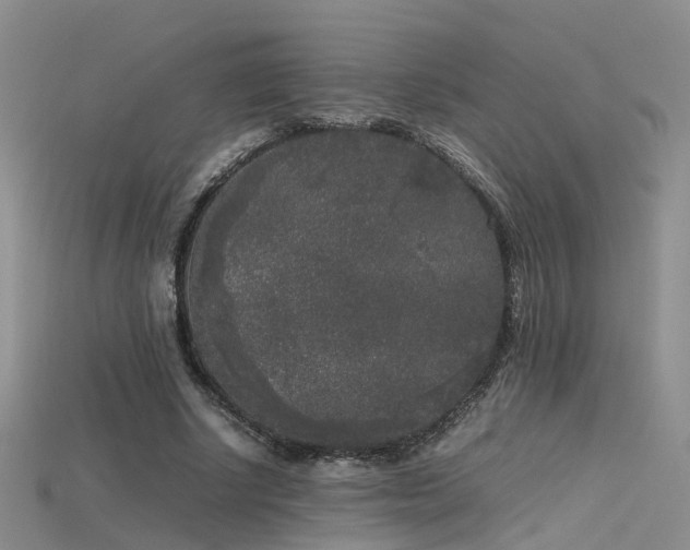 X0000115720634200911121451