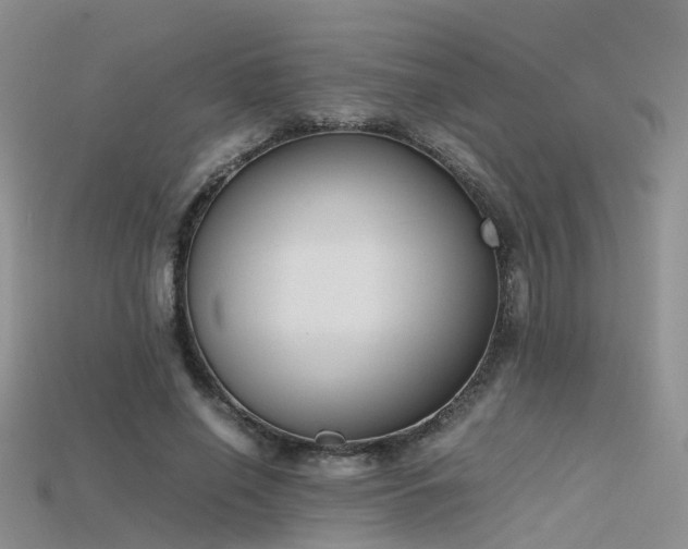X0000115720638200911121451