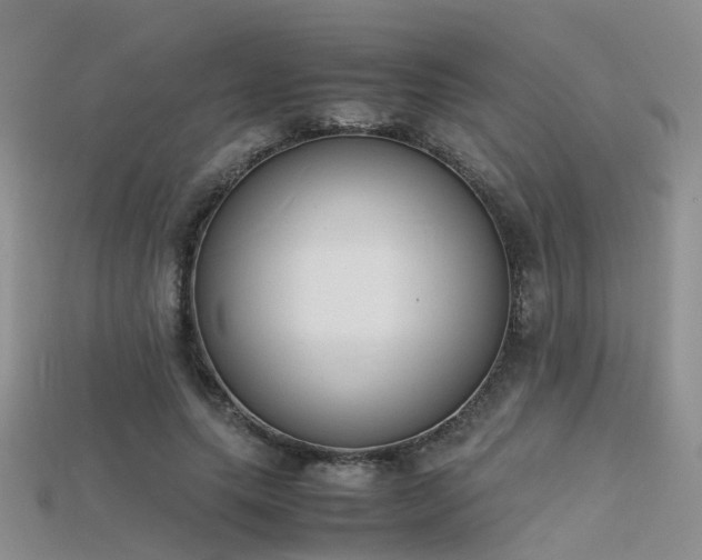 X0000115720639200911121451