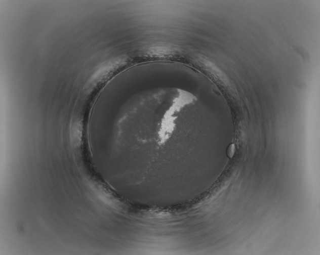 X0000115720640200911121451