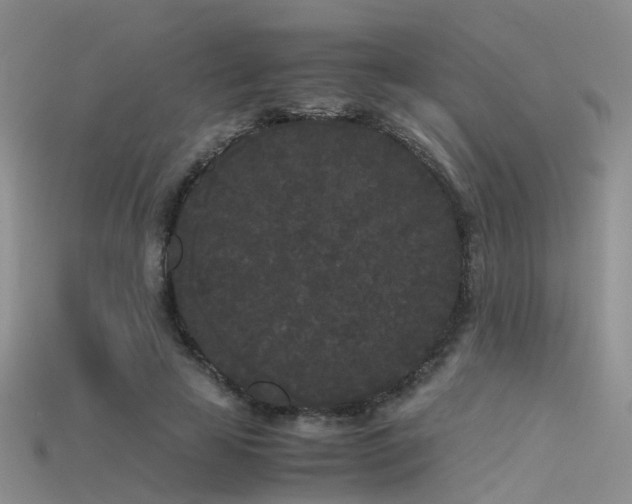 X0000115720641200911121451