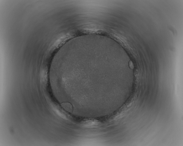 X0000115720642200911121451
