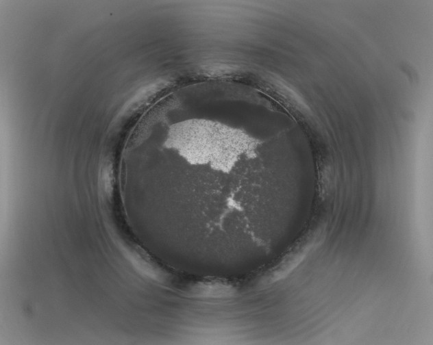 X0000115720644200911121451