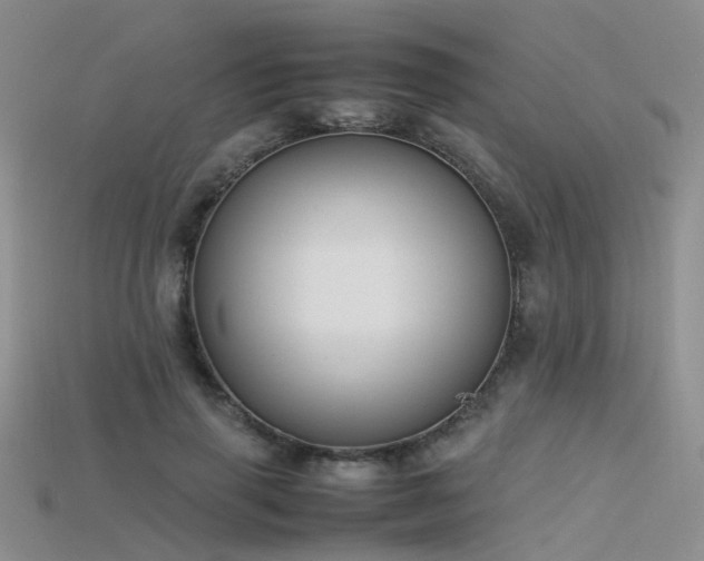 X0000115720645200911121451