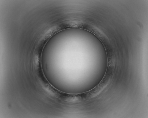X0000115720646200911121451