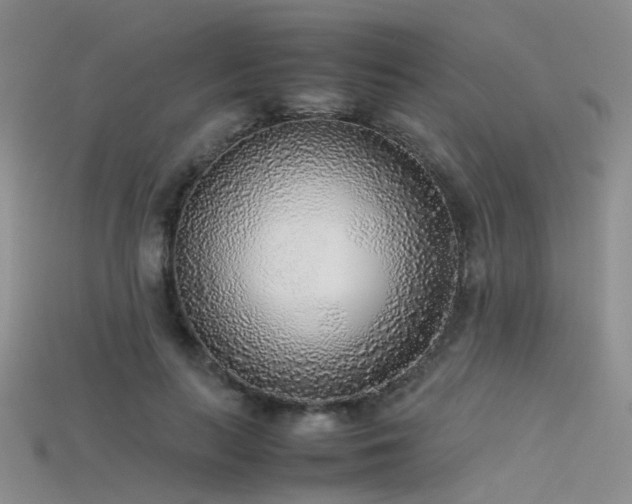 X0000115720647200911121451