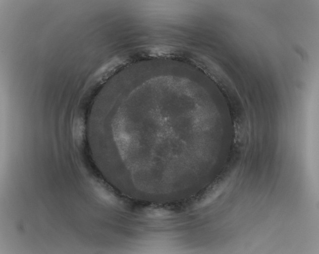 X0000115720648200911121451