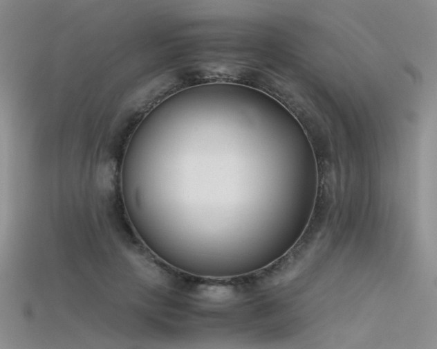 X0000115720649200911121452