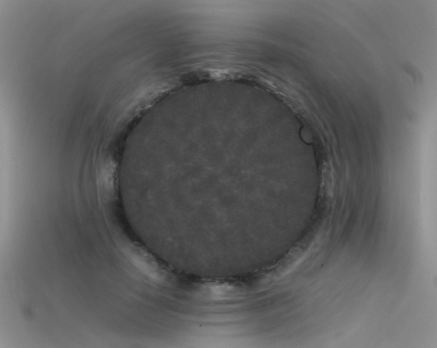 X0000115720650200911121452