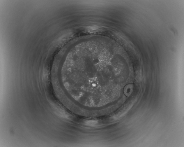 X0000115720653200911121452