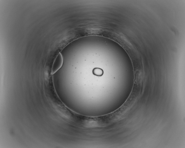 X0000115720655200911121452