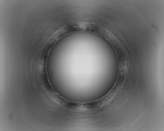 X0000115720656200911121452