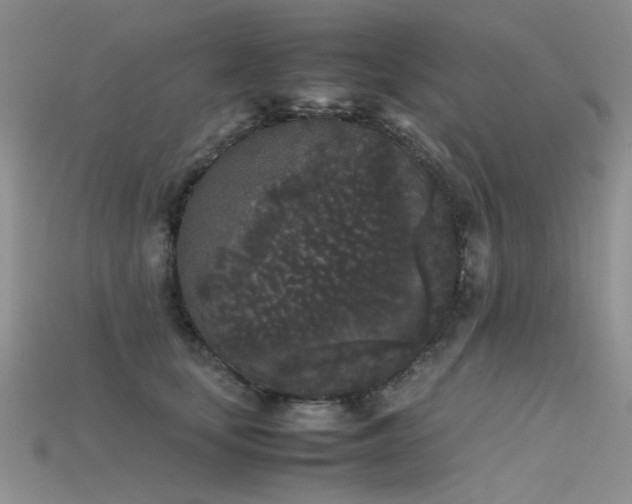 X0000115720659200911121452