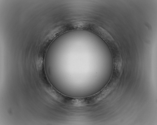X0000115720660200911121452
