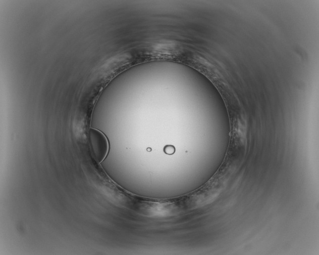 X0000115720663200911121452