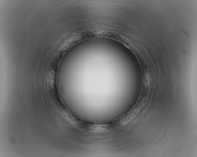 X0000115720664200911121452