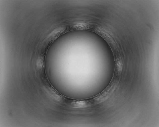 X0000115720665200911121452