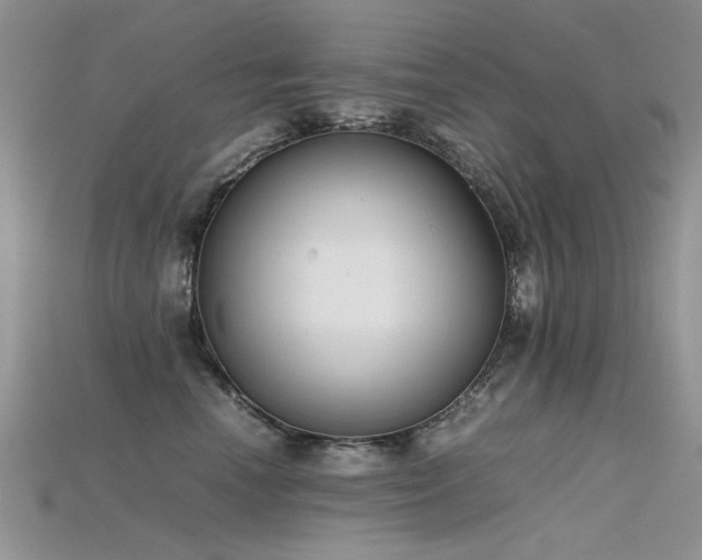 X0000115720666200911121452