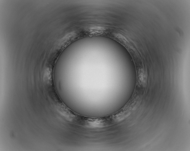 X0000115720667200911121452