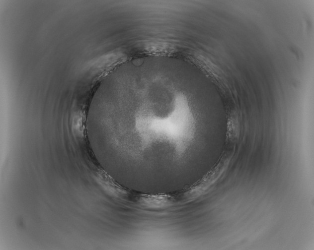 X0000115720671200911121452
