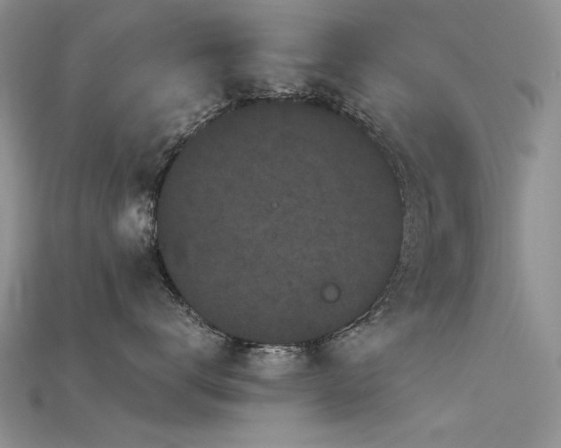 X0000115720672200911121452