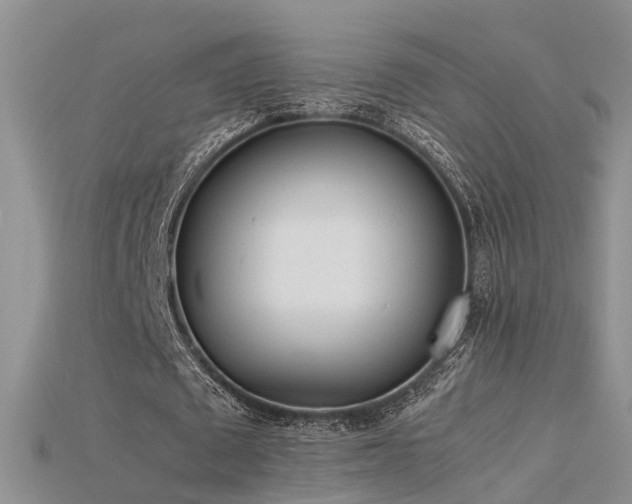 X0000115720673200911121451