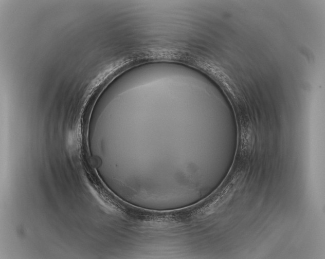X0000115720674200911121451