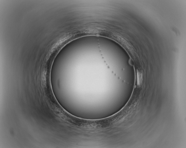X0000115720675200911121451
