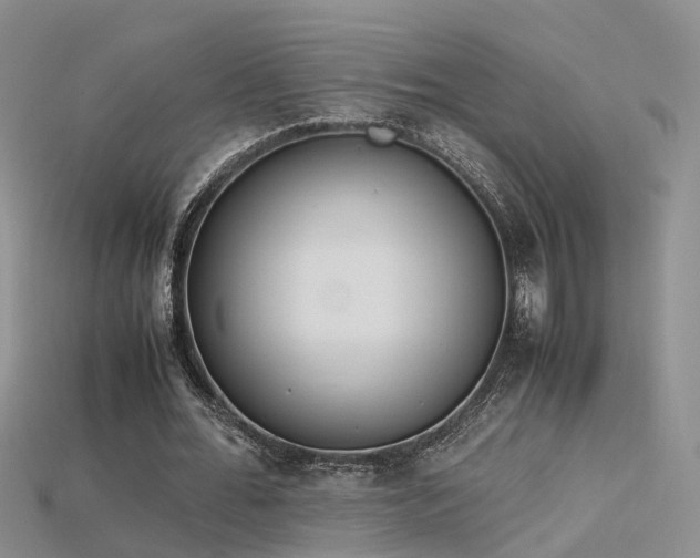 X0000115720676200911121451