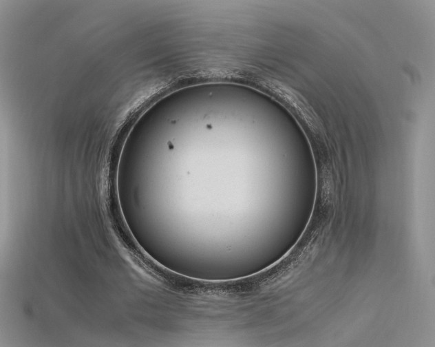 X0000115720677200911121451