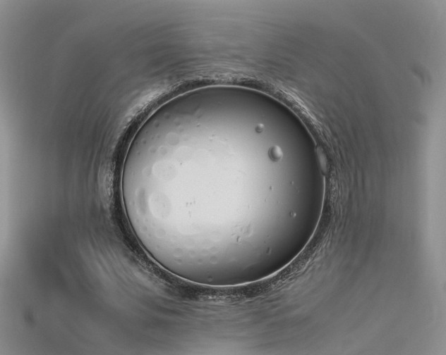 X0000115720679200911121451
