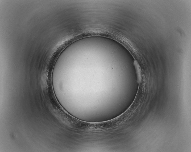 X0000115720680200911121451