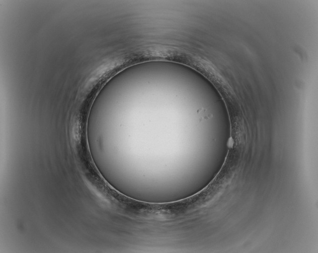 X0000115720683200911121451